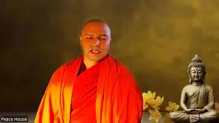 Guided Meditation: Cultivating Loving-Kindness, Compassion, Joy & Equanimity