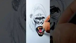 Tips para Aprender a dibujar un Gorila como un experto🦍 #draw #drawing #marcadores #tutorial #arte