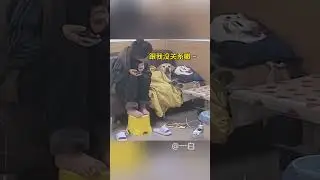 Funny Dog Reaction #AnimalVideos #CutePets #DogVsChicken #FunnyAnimalReaction