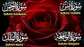 Surah Yaseen ❤ Surah Rahman ❤ Surah Al Waqia ❤ Surah Al mulk Soothing Quran recitation | Ep000375