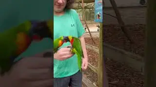 Making memories at the Birmingham Zoo with my son Ben and my sister Christy.