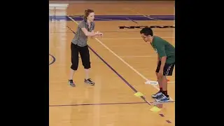 SHUTTLE RUN TAF
