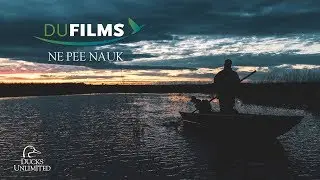 DU Films 2018: Ne Pee Nauk