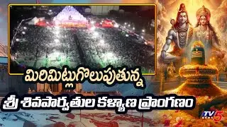 Amazing Drone View Of Sri Shiva Parvathula Kalyanam At Nellore Stadium || TV5 News
