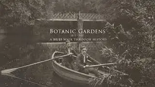 Botanic Gardens Churchtown A Brief Walk Through History with AI