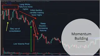 Reading Price Action Momentum with Net Flow