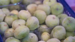 Afamia Turkse Arabische supermarkt op Winkelcentrum Westermarkt in Tilburg