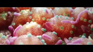 Parkinson's Link to Gut Bacteria Suggests Unexpected, Simple Treatment!