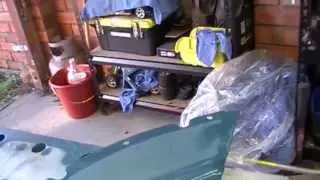 How long does paint last in a can.?..YTGG