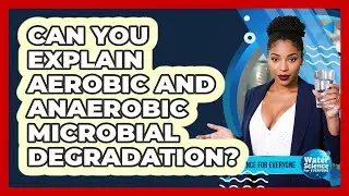 Can You Explain Aerobic And Anaerobic Microbial Degradation?