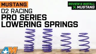 2015- 2023 Mustang D2 Racing Pro Series Lowering Springs Review & Install