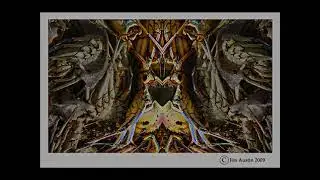 The Hive Movie Jimages.com