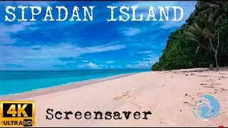 52.5: SIPADAN Tropical Island Beach Paradise, Borneo Malaysia Screensaver 4K - FORBIDDEN BEACH