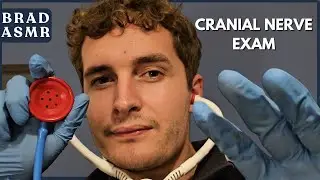 ASMR Cranial Nerve Exam (Roleplay)