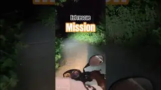 Eel Rescue Mission! Biking the Dark Jungle to Tarito 🌑🐟