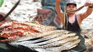 How to cooking tire track eel fish and eating in the wild || Wild Food Cooking