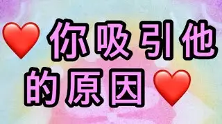Candice塔羅占卜🔮你吸引他的原因❤️給你的訊息 /愛情/金錢/健康/運勢/頻率/感情/幸福/喜悅/傳訊/靈性/星座/塔羅/占卜/有選項