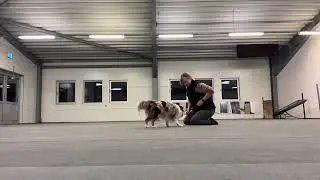 Rulla runt