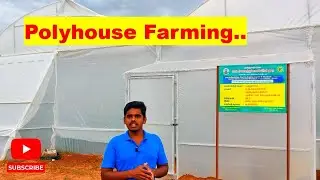 PolyHouse Farming🚜 A to Z Information In Tamil @muppogam
