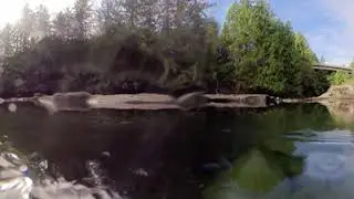 Oyster River Pot Holes Hi Way 19-Comox Valley -Vancouver Island - Edward Homer You Tube VR