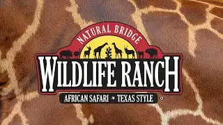 Natural Bridge Wildlife Ranch - African Safari, Texas Style