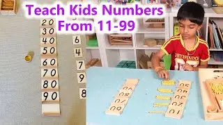 Seguin Board B | Teach 11 To 99 Quantities & Symbols
