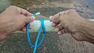 Learn to tie Picket- Line Hitch