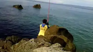 Strike Baronang Batik Kota Agung
