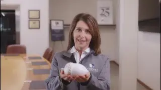 The Gift of The Acorns: Steady Growth with a Lenawee Community Foundations Endowed Fund
