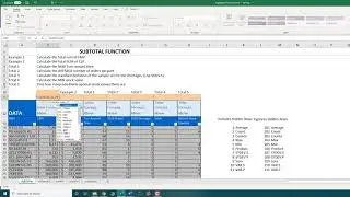 Subtotal Function