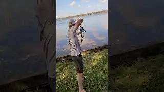 Son Stalks Tilapia From Shore Bowfishing