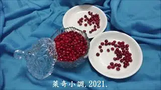 【Lucky萊奇小調】漫遊澄清湖撿相思豆
