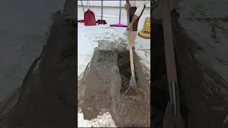 Professional Tools for Rug Cleaning - Demo ASMR Relaxation