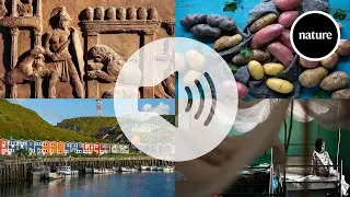 The Nature Podcast highlights of 2025