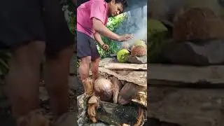 This is how we make Samoa Food called Umu - Samoa Culture- Song by Tevaka - Loimata e maligi