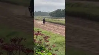 Ultimate Speed Training: Jockey and Racehorse Gallop on Poly Track 🐎💨 #Equestrian#FastandFurious