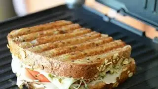 Chicken Panini Sandwich Recipe |How to Make Chicken Sandwich Recipe |Cheese Sandwich 