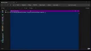 Generating Fake data using Faker and Saving as an Excel file using Python