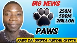 PAWS LABS LISTING UPDATE WILL BE SURPRISED DA ALAMA PAWS ZAI SHAFE DOG DA NOT