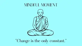 #48 Change is the only constant - Mindful Moment
