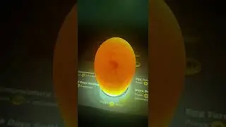 Day 6 duck egg candling #duckeggs #incubation #amazonanimals #ducks #candling