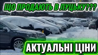 ЛУЦЬКИЙ АВТОБАЗАР | Актуальні ціни на автомобілі 2026 AUDI NISSAN VOLKSWAGEN RENAULT HYUNDAI KIA 