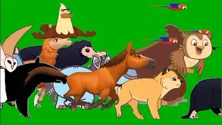 Animal stampede | Running animals | Stampede animal green screen video dinosaur elephant cow horse