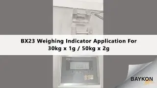 BX23 High Accurate Industrial Scale For 30 kg x 1g / 50 kg x 2g From BAYKON