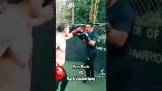 Elon musk vs mark Zuckerberg  cage fight