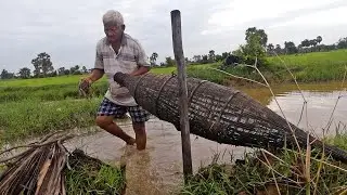 Amazing Simple Life Of Cambodian Farmer Making Farm and Fishing For Daily Living