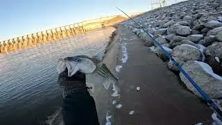 Pesca de Striper con flotador @OKfishing918