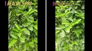 realme 6i vs realme 5 Pro full camera comparison | Best Smartphone Under 15,000|Which Should You Buy