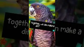 Save Birds || Save Earth || Nature #shortsvideo #youtubeshorts #trendingshorts #viralvideo