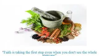 Your Daily Food, Diet and Health Tips - Newsletter of Food Facts and Recipes - Series 10